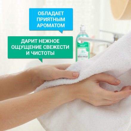 Мыло-крем жидкое с АНТИБАКТЕРИАЛЬНЫМ ЭФФЕКТОМ 1 л ЗОЛОТОЙ ИДЕАЛ &quot;Холодная мята&quot;, дозатор, 608285