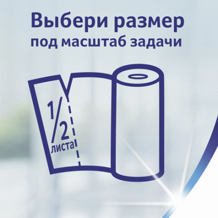 Полотенца бумажные прочные ZEWA EXPERT (2 рулона х 17 м), отжимные Wisch &amp; Weg, 144034