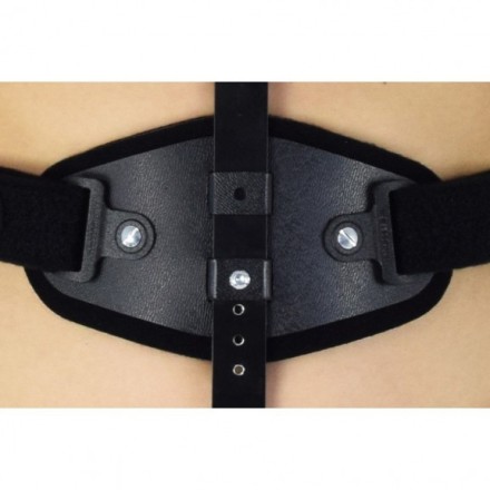 Модульный грудопоясничный корсет Reh4Mat Spinefit 2tlso+ Ms-t-02/tlso plus